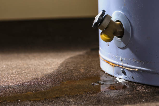 Best Water damage restoration near me  in Old Miakka, FL