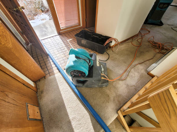 Best 24/7 water damage repair  in Old Miakka, FL