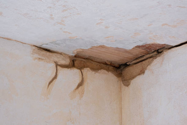Best Flood restoration services  in Old Miakka, FL