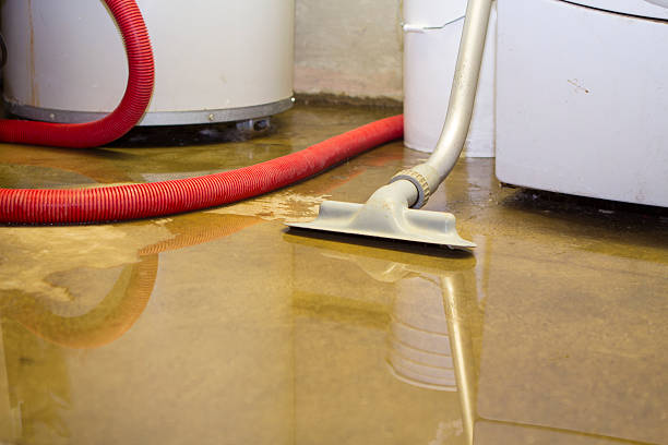 Professional Water damage restoration in FL