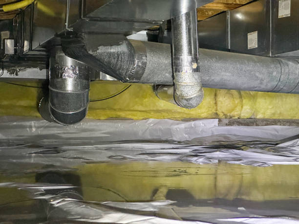 Best Water damage restoration experts  in Old Miakka, FL