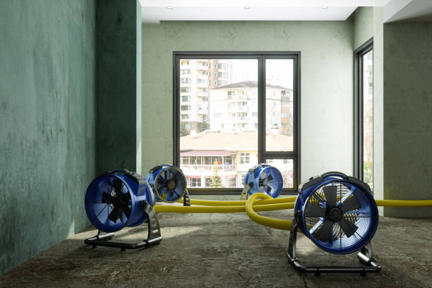 Best 24/7 water damage repair  in Old Miakka, FL