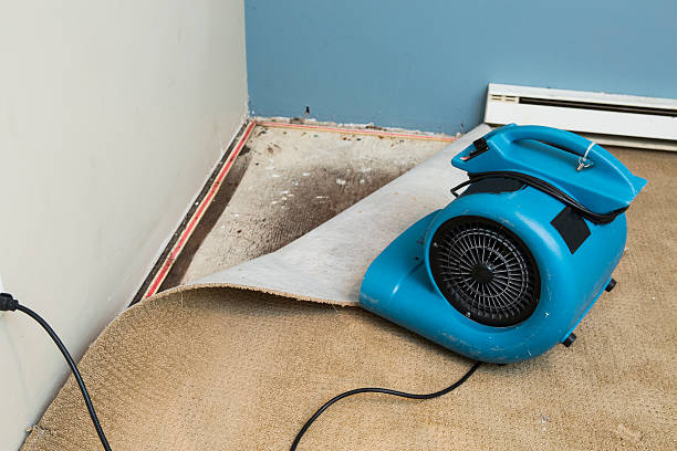 Best Residential water damage restoration  in Old Miakka, FL